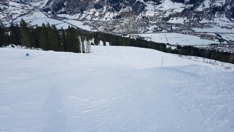 Weiterführung durch den Wald mit schönem Gefälle