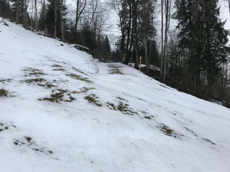 2018-03-06 15.51.41.jpg