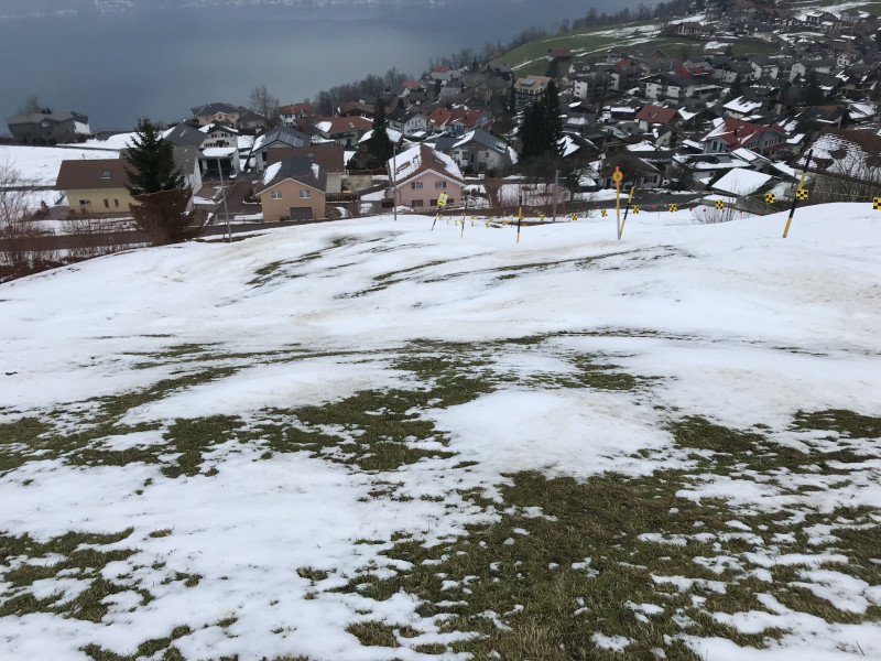 2018-03-06 15.52.35.jpg