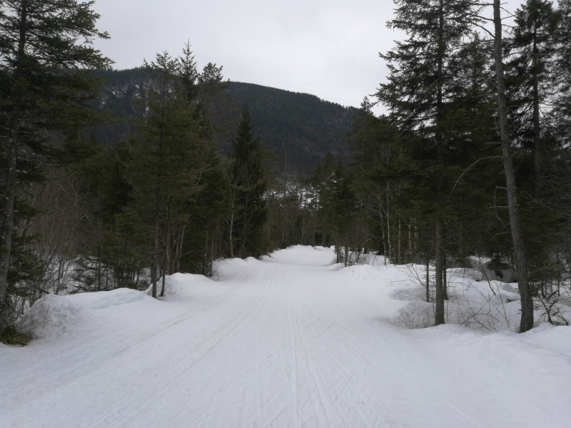 Immernoch gute Langlaufbedingungen auf den Loipen zwischen Lenggries und der Jachenau.