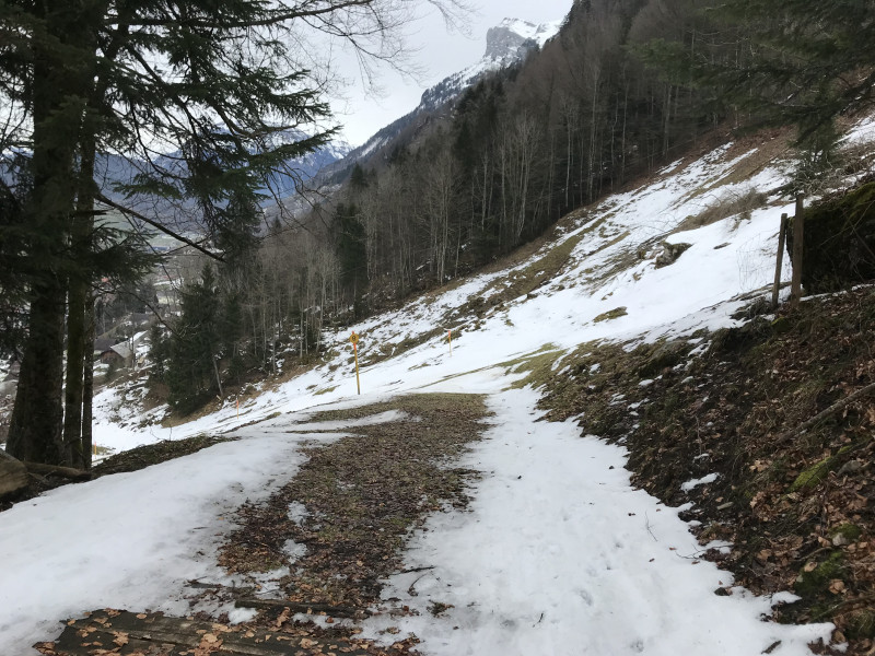 Bei der Verzweigung Schlittelbahn/Skiroute wird es ein erstes Mal knapp.