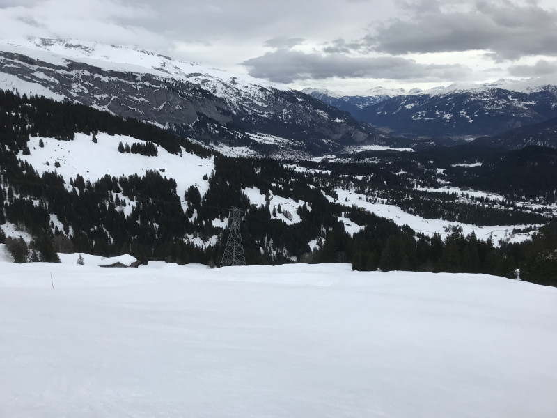 Yessssss! Erstmals diesen Winter erlebe ich die Fis richtig gut! Genau so, wie ich sie von früher im Frühling kenne. Herrlich. Die wird mich wohl die nächsten Stunden beschäftigen.