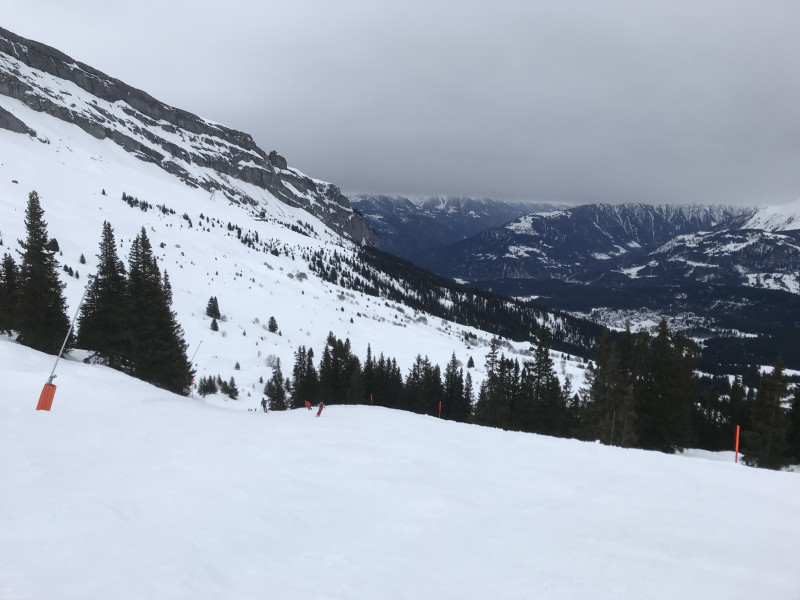 Wenn das Waldstück bei weichem Sulz um 14.30 Uhr noch so gut zu fahren ist, hat es wirklich wenig Leute. Gerade mal 5100.