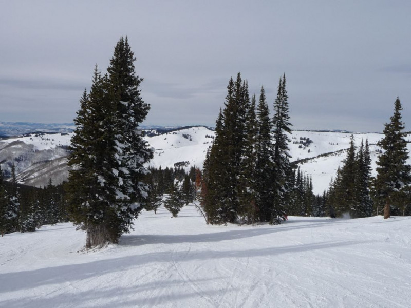 Alles Piste zwischen den Bäumen welche präpariert wird