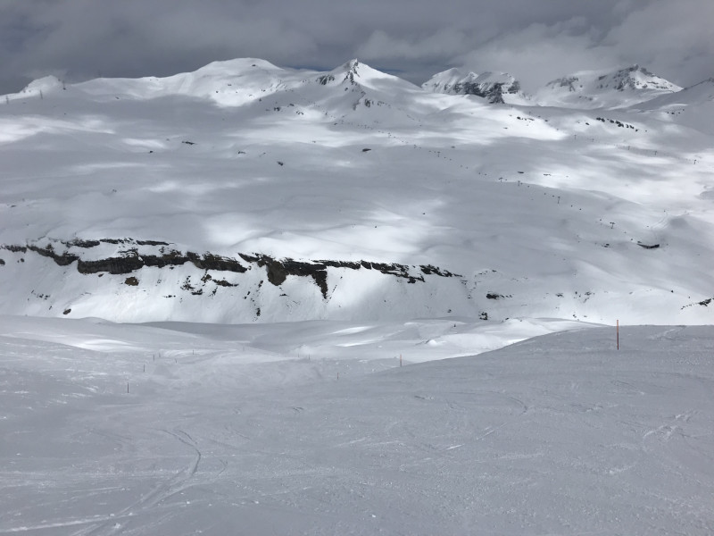 Pulver - ein Pulvertraum