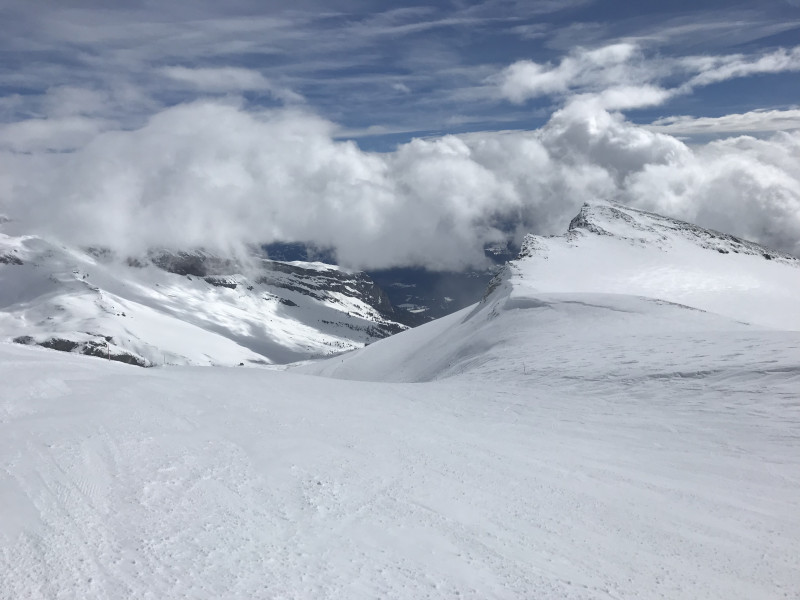 Siala Ost - ein Teppich