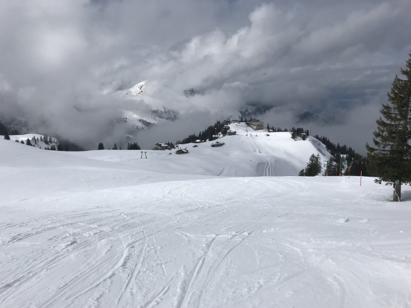 Praktisch alle Spuren sind von mir.