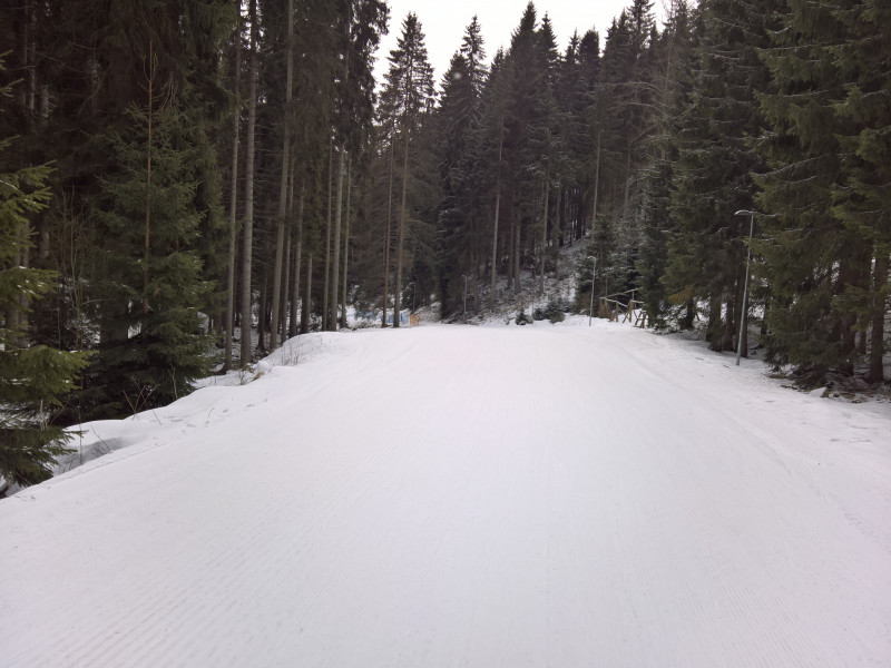 Ziehweg 7b talwärts nach dem Flachstück