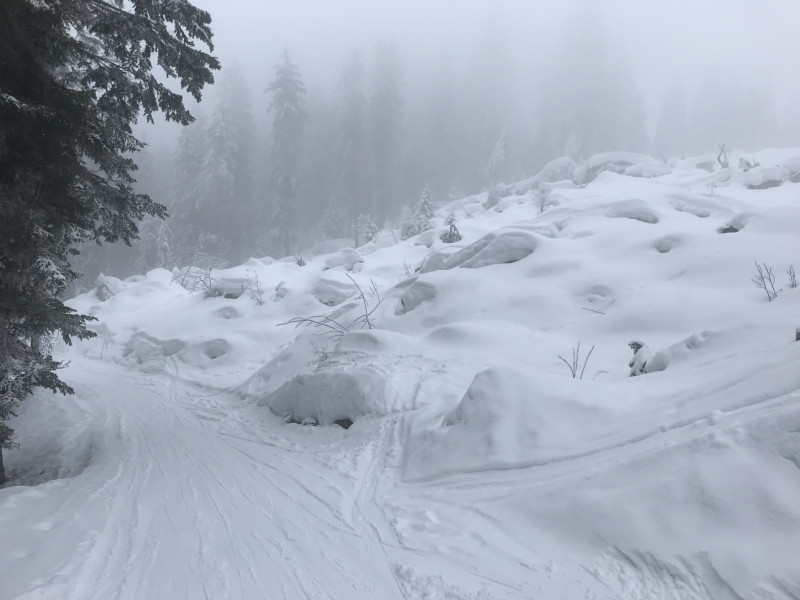Die Waldhauspiste wird dieses Jahr wohl bis Mai befahrbar sein.