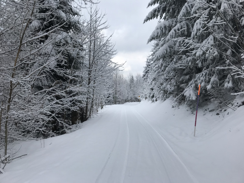 Die Strasse war wider Erwarten völlig problemlos.
