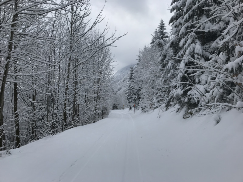 2018-03-21 11.46.46.jpg