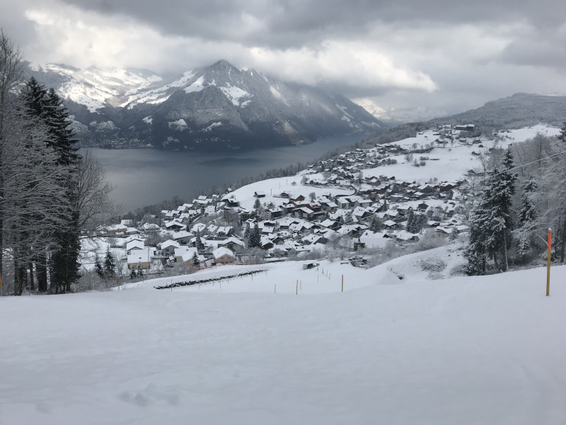 Der kritischste Teil war hier. Im Gegensatz zum 4.1.17 war der Untergrund nicht gefroren, sodass es öfter bremste oder ich in Maulwurfhügeln fast hängen blieb.