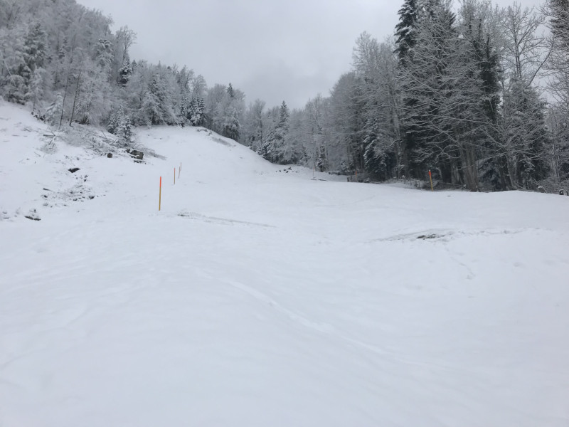 2018-03-21 11.48.52.jpg