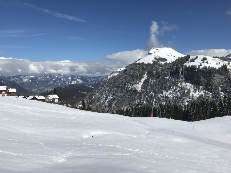 2018-03-23 14.44.45.jpg