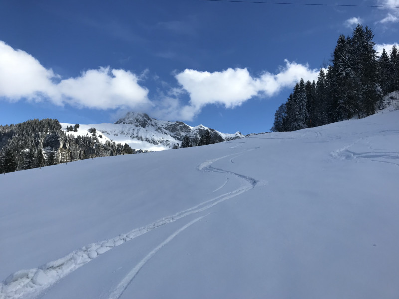 2018-03-23 15.55.04.jpg