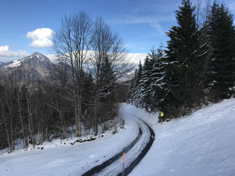 2018-03-23 15.58.09.jpg