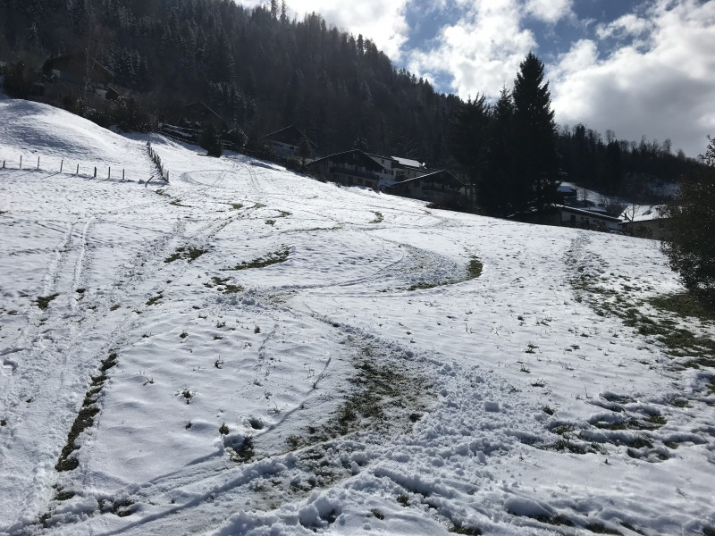 2018-03-23 14.29.00.jpg