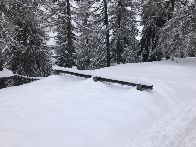 Hier würde eine Schaukel stehen
