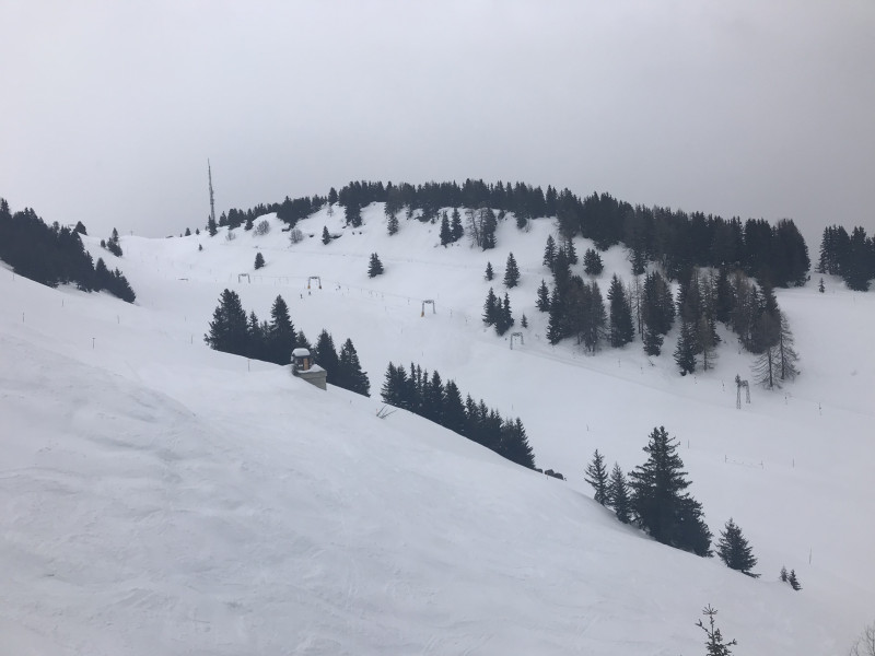 Letzten Samstag um 11:00