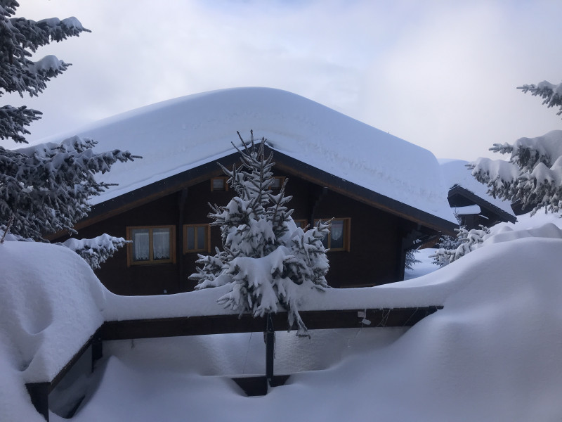 Letzten Sonntag auf der Terasse