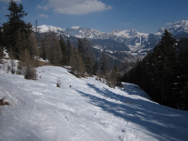 Weniger verwachsener Pistenabschnitt (ca. 1.840 m)