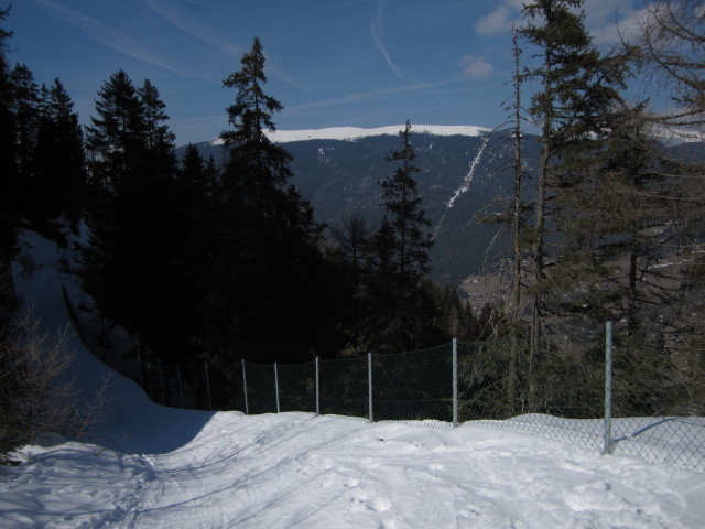 Sicherheitszaun (ca. 1.810 m)