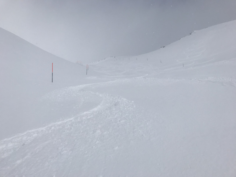 Macht Spass, sogar mit meinem 159er Atomic Redster SL