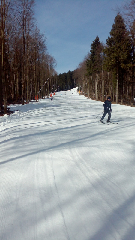 Waldschneise an der Kappe