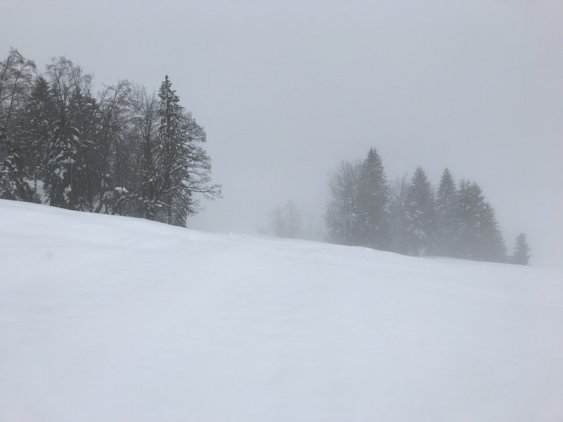 Ein weiter, anstrengender Weg liegt vor uns.