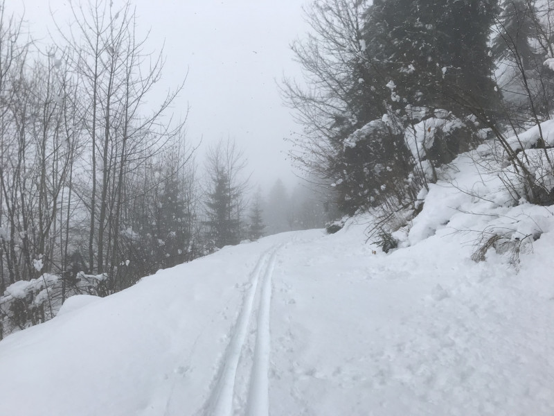 Im Waldstück gleitet es endlich mal.