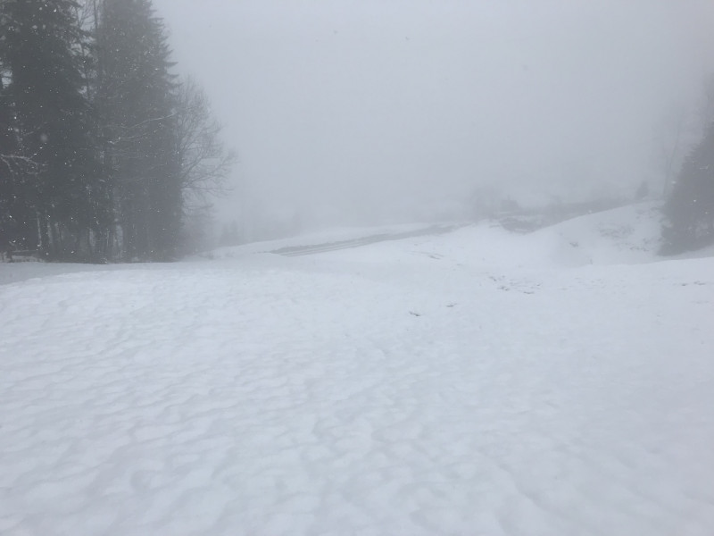 Der beste Hang. 8cm Pflotsch, da gleitet es.