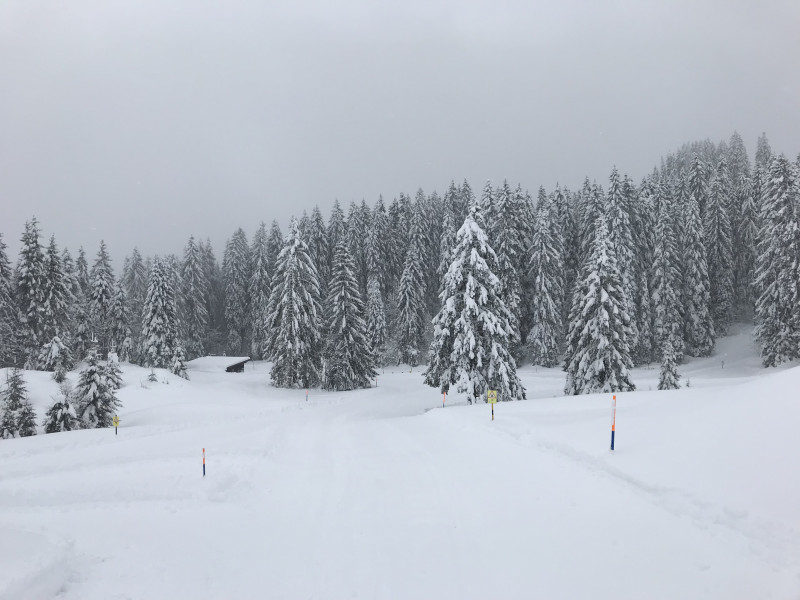 Fürs Auge wunderschön