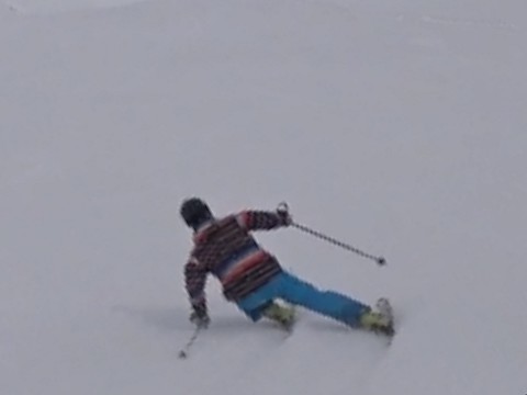 Ein  Carvender heute Mittag an der Oberen Scheid