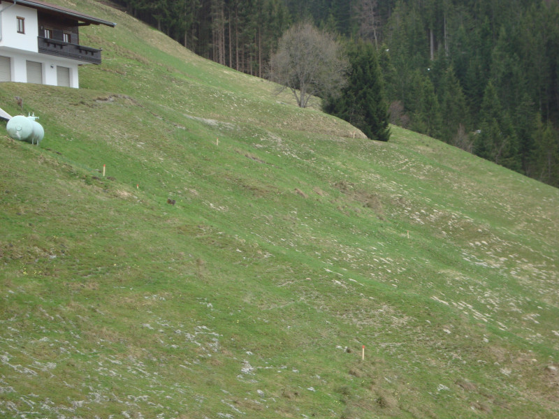 Bereits ausgesteckt.. Südlich von Treichelhof - Piste oder Straße?