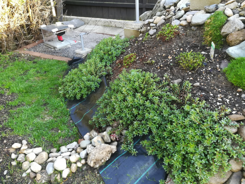 Gratkarbahn Pflanzen.jpg