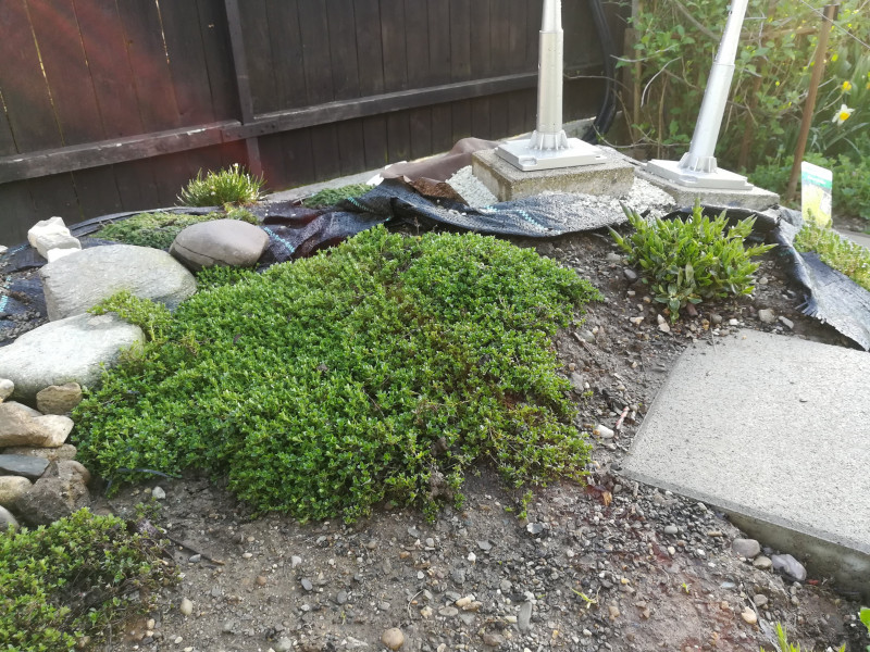 Lamingtalbahn Pflanzen.jpg