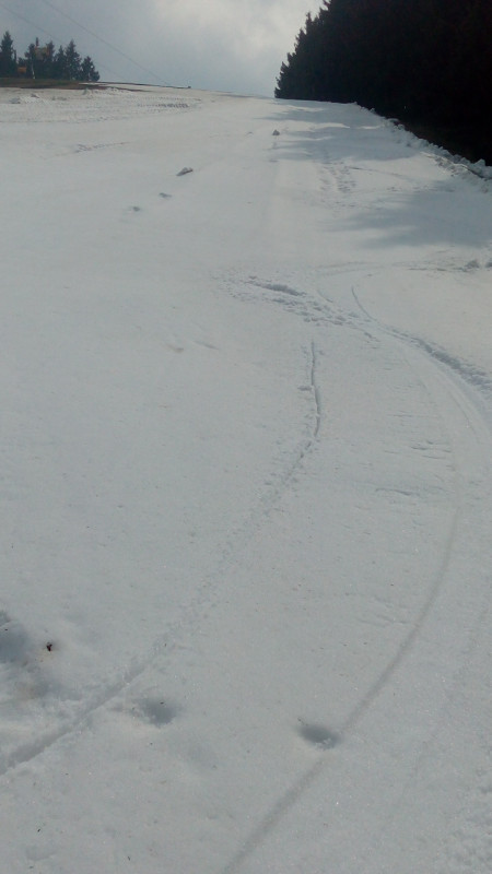 Die letzte Abfahrt am Poppenberg