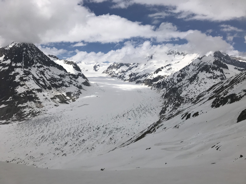 Blick von der Elsenlücke auf den Aletschgletscher