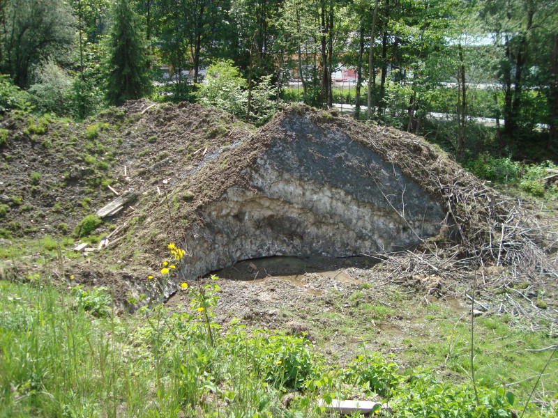 Gaisberg 13.5.2018 239.JPG