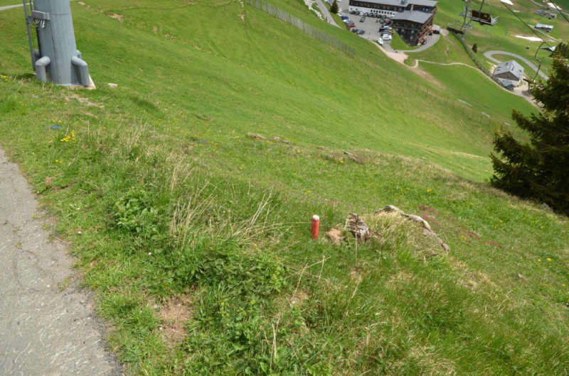Stützenstandort neben der Straße