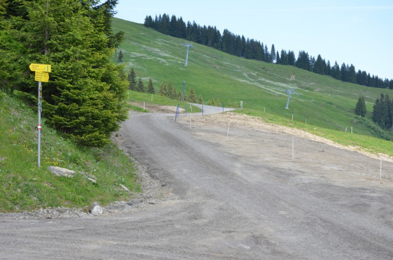 Verbreiterung 2a - Blick nach Osten