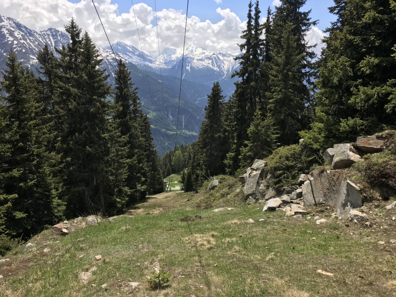 Für Jojo: dein Schweiben ist fast grün (habe im Wald einen Gleitschirmflieger nach Notlandung gesucht).