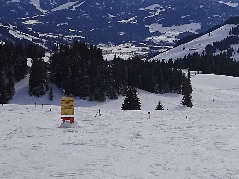 Filzboden Berg Richtung Hochbrixen