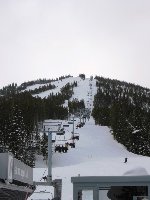 In der oberen Bildhälfte sieht man links drei der richtig geilen Abfahrten - trotz Spring break hier wenig los