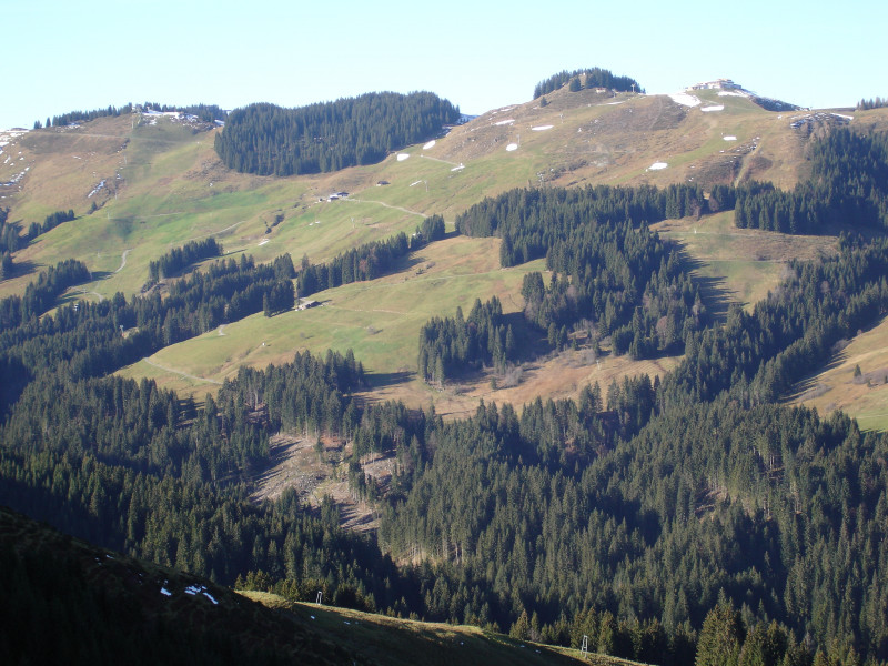 Hebst 2006 11er Weg.jpg