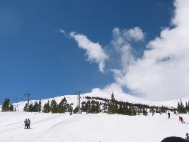 Leider unscharf. Die hohe Strahlung verhindert auch großartiges Verbessern der Bilder...