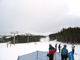 Typisch dieser &amp;quot;Stangerl&amp;quot;-Wald, der zumindest bei diesem Wetter nicht sehr fröhlich wirkt