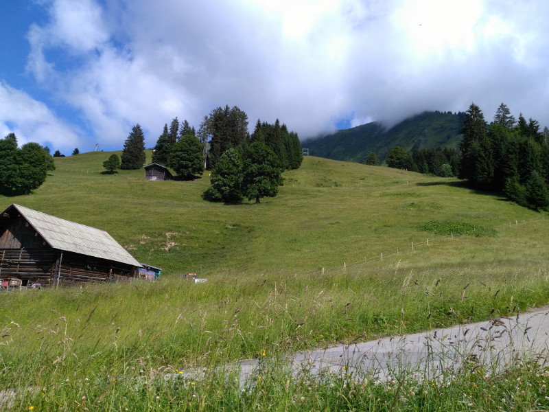 Hier stand die Talstation vom Westegg1 (Weisser Stromkasten).