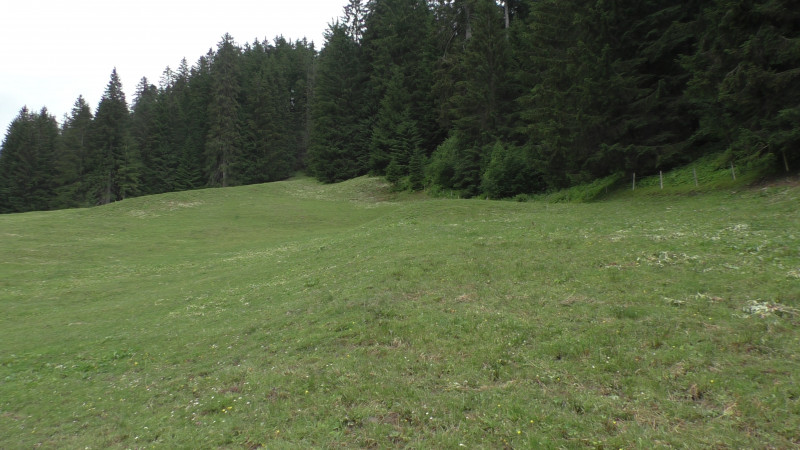 Vermutlich Liftende Ausstieg Westegg2.<br />Die Wiese war hier sehr eben bzw. gerade