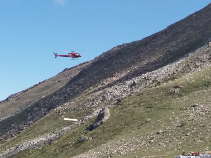 Anlieferung Holz 2.jpg